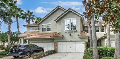 14512 Mirabelle Vista Circle, Tampa