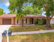 6624 Reef Cir, Tampa image