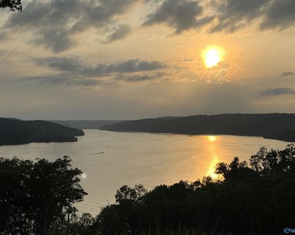 47 Treetop Drive, Guntersville