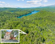 274 Sunset Drive, Tiger image