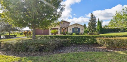 17824 Newcastle Field Drive, Lutz
