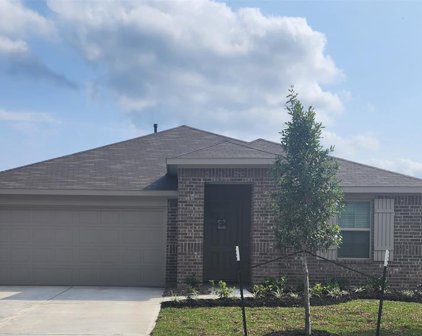 21562 Starry Night Drive, New Caney