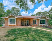 20503 Forest Road, Damon image