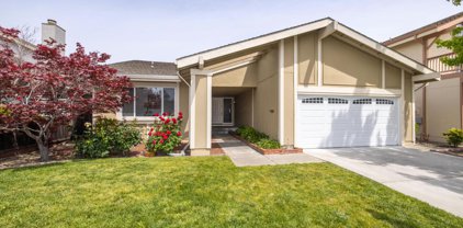 340 Tampa Ct, Foster City