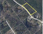 1099 Aarons Way, Lugoff image