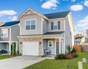 1167 Bergenfield Lane, Chapin image