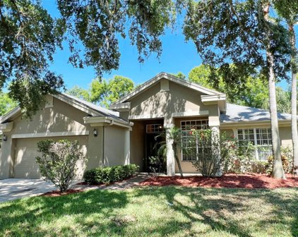 3103 Bent Creek Drive, Valrico