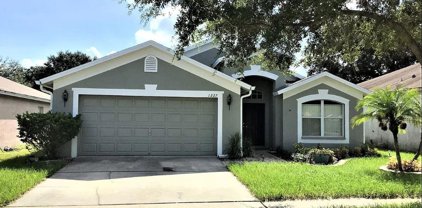 1227 Dragon Head Drive, Valrico