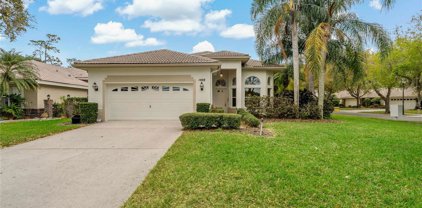 1408 Woodstream Drive, Oldsmar