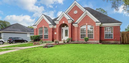 5203 Whittier Oaks Drive, Friendswood