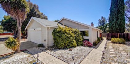 930 Coral Ridge Cir, Rodeo