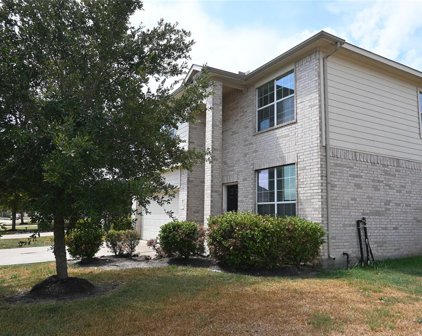 39 Mira Loma Drive, Manvel