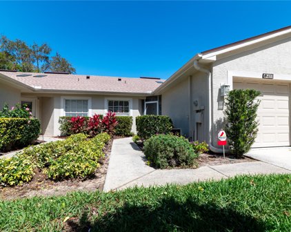 4153 Chesterfield Circle, Palm Harbor