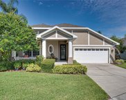 19428 Melody Fair Place, Lutz image