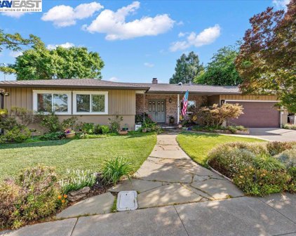 717 E Angela St, Pleasanton