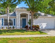 3515 Trapnell Grove Loop, Plant City image