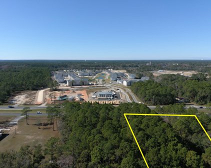 1.2 Acres +/ - Highway 331 South, Freeport