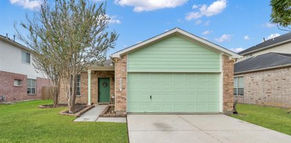 22007 Willow Shadows Drive, Tomball