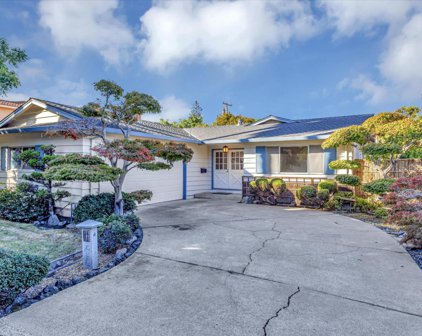 1773 Linnet LN, Sunnyvale