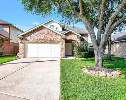 9811 Wellington Chase Lane, Humble