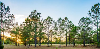 1517 & 1515 N 11th Street, Cordele