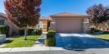 255 Bamboo Forest Place, Las Vegas