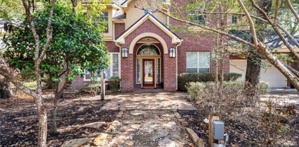 14 Sunny Oaks Place, The Woodlands