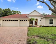 3830 Misty Landing Drive, Valrico image
