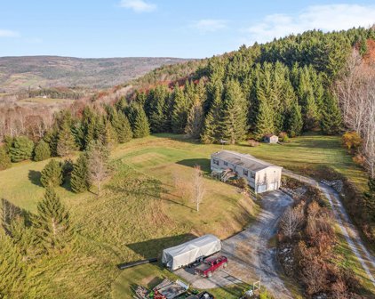 204 Kramer Road, Middleburgh
