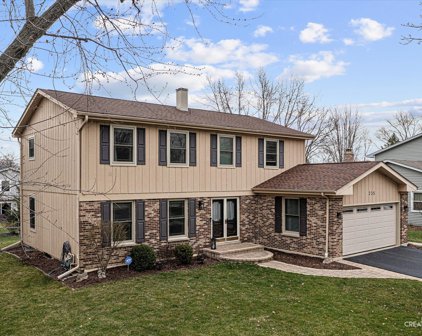 235 Waxwing Avenue, Naperville