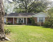 842 Riedel Drive, Houston image
