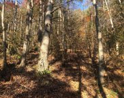 9.24 Acres Henry Town Rd, Sevierville image