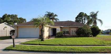 2909 Summervale Drive, Holiday