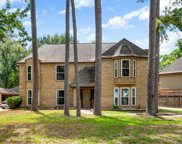 17027 Butteroak Drive, Spring image