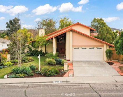 12735 Abra Drive, San Diego