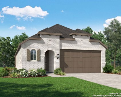 1853 Nettletree, New Braunfels