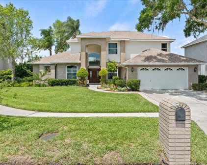 16521 Cayman Drive, Tampa