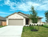 581 Elm Green St, Hutto image