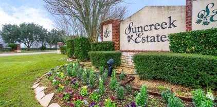 17003 Hamill Drive, Rosharon