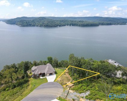 102 Ryan Drive, Guntersville