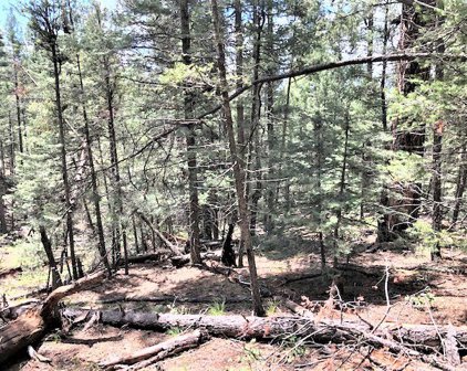 3.68 Acres Sawyer Mesa Road, Pecos