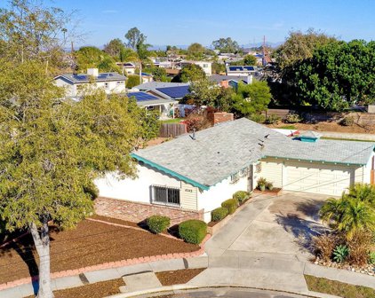 4542     Mount Frissell Drive, San Diego