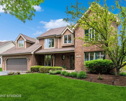 1405 Sequoia Road, Naperville