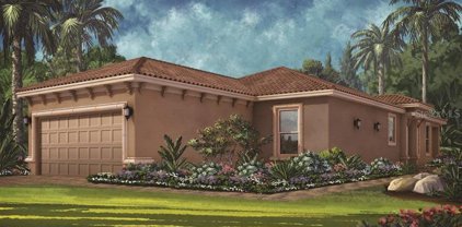 4655 Garofalo Road, Wesley Chapel