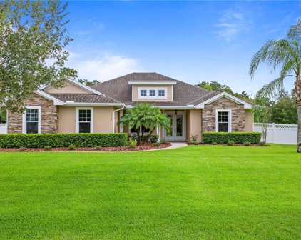 7708 Kenia Meadows Lane, Odessa