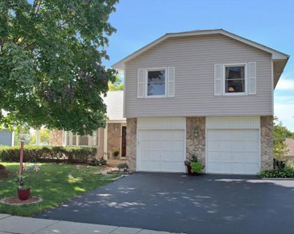 1651 Nebraska Drive, Elk Grove Village