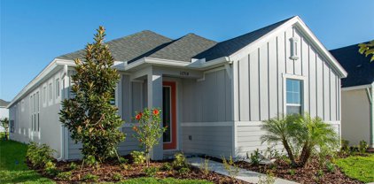 16918 Full Sun Alley, Land O' Lakes