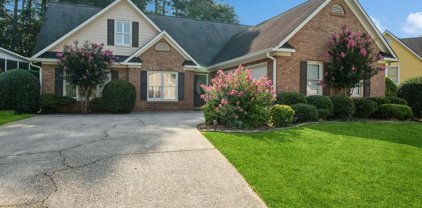 120 Silver Water Court, Suwanee