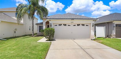 31229 Masena Drive, Wesley Chapel