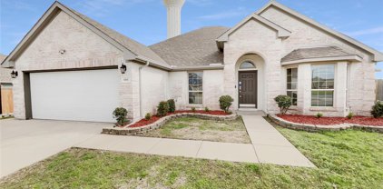 100 Enchanted Forest  Drive, Wylie
